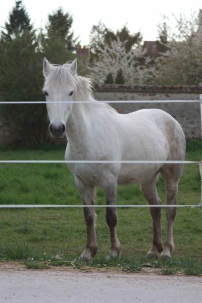 Photo de profil de peggy3vivi