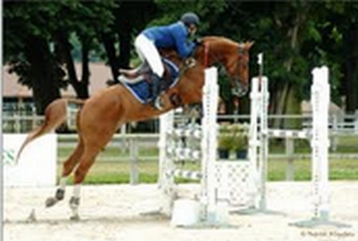 Photo de profil de annedior