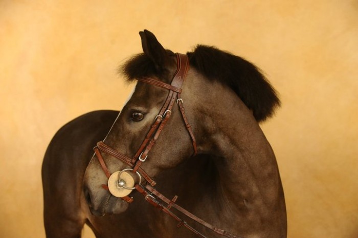 Photo de profil de wayland.j