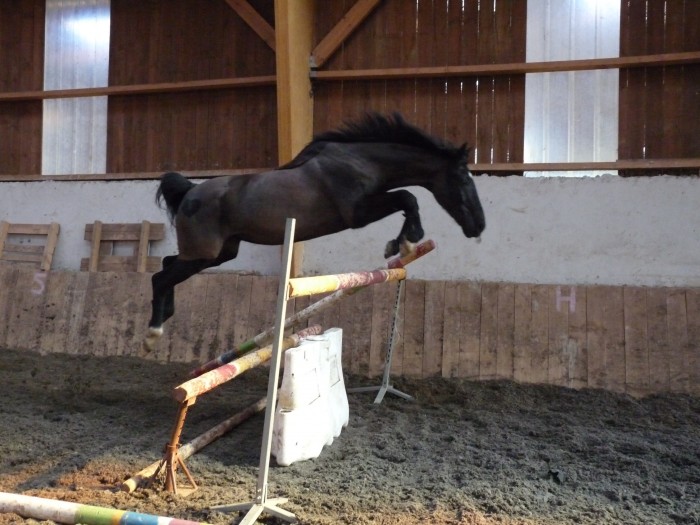 Photo de profil de lyly54