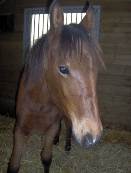 Photo de profil de tierradebaya