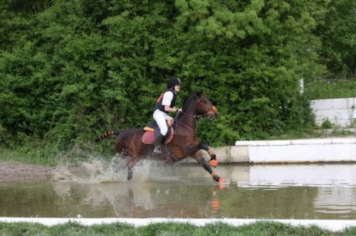 Photo de profil de reverdy