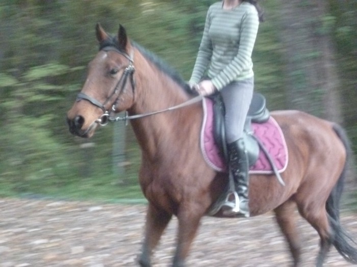 Photo de profil de peanutbutter