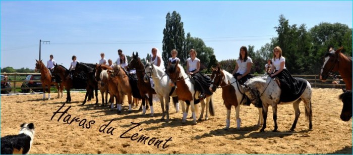 Photo de profil de monbonmanege