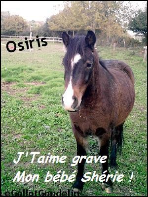 Photo de profil de heloisebourges