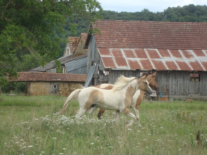 Photo de profil de mortyfamilly