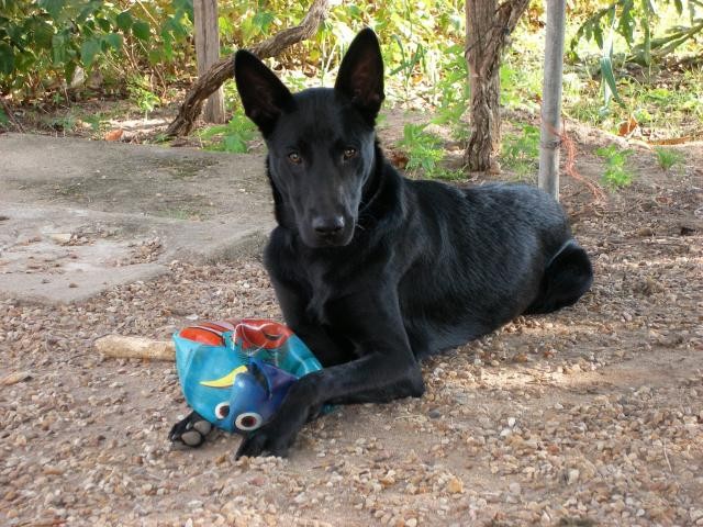 Photo de profil de liloupop