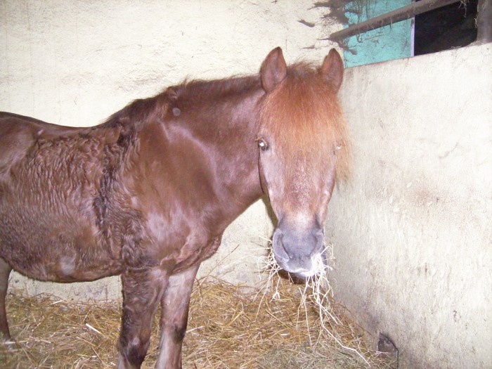 Photo de profil de celestemalice