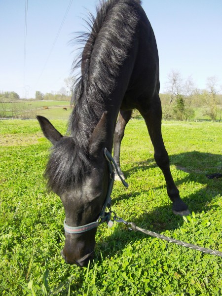 Photo de profil de spring71