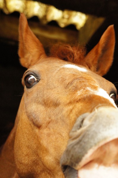 Photo de profil de keenflower