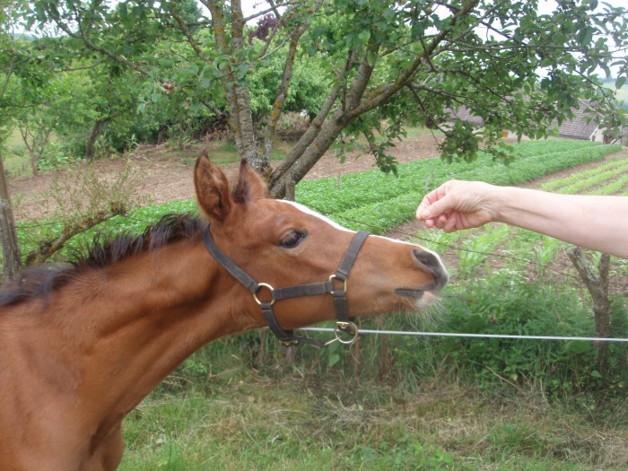 Photo de profil de lyndsay46