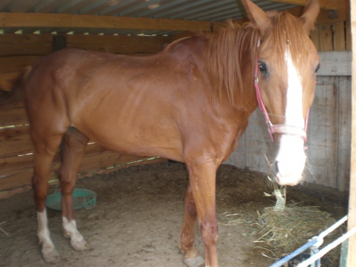 Photo de profil de christophemasse