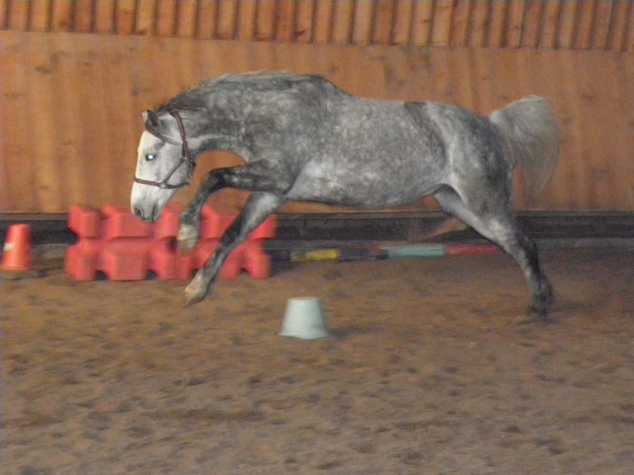 Photo de profil de zonlicht