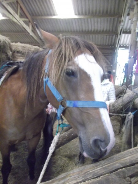 Photo de profil de yaoul