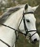 Photo de profil de lololol395
