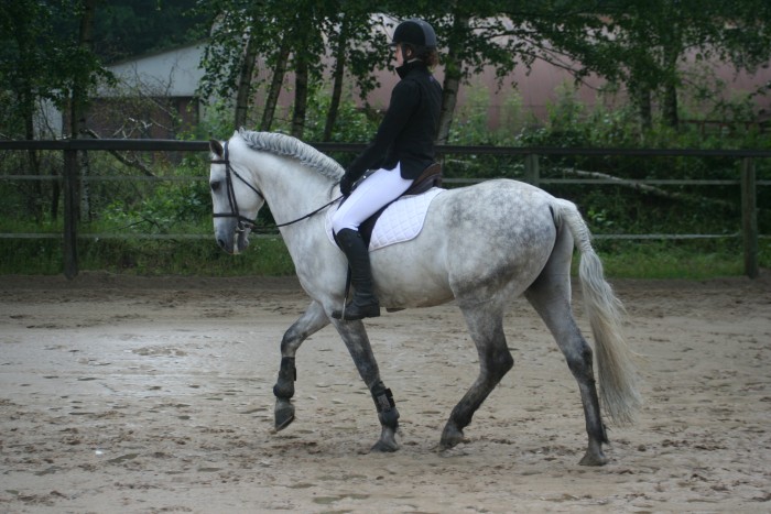 Photo de profil de lstoll