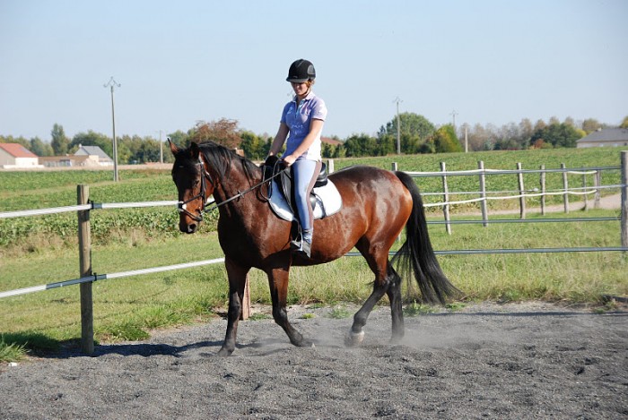Photo de profil de elisa.remy2