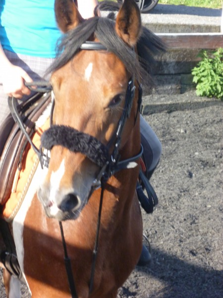 Photo de profil de chaparelle