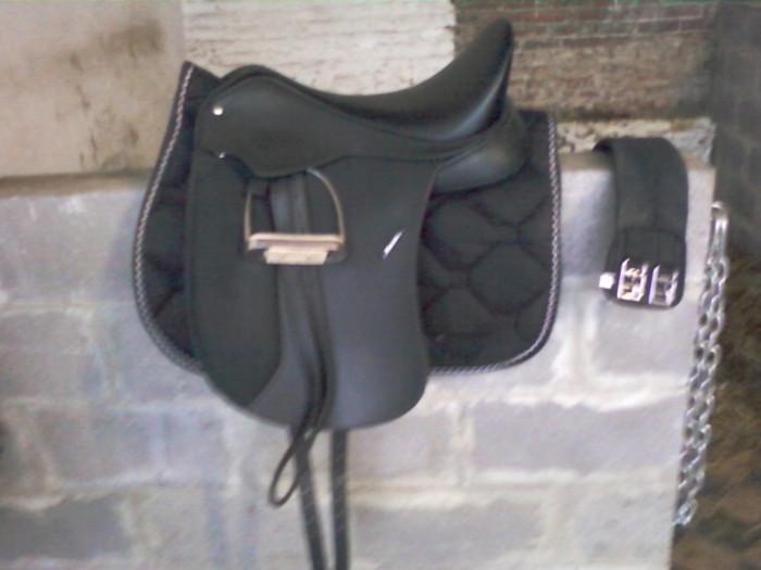 Photo de profil de evey