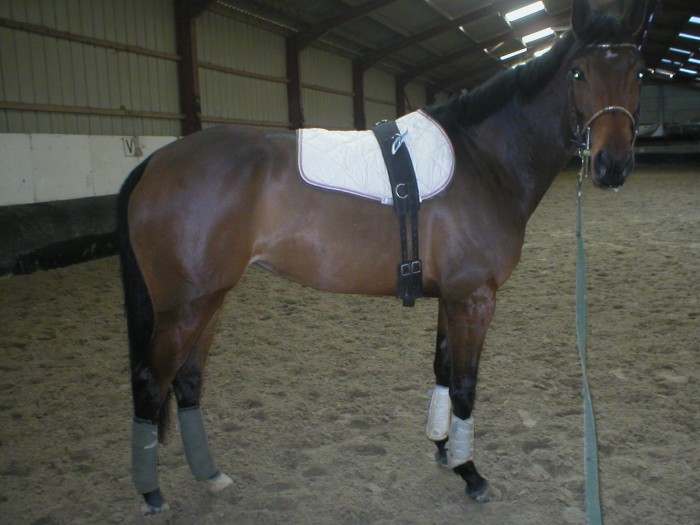 Photo de profil de bikbik