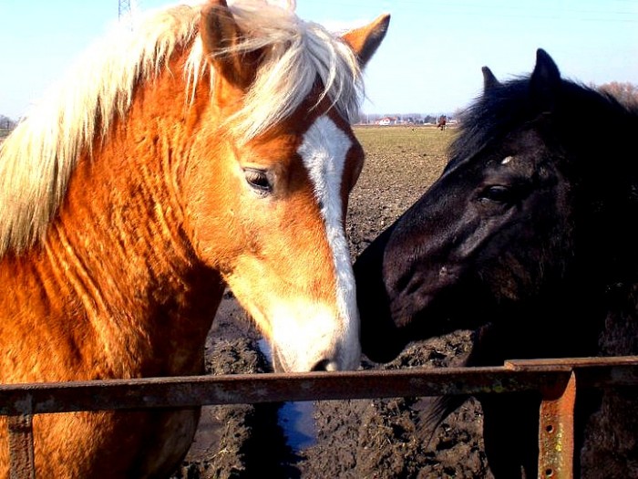 Photo de profil de anaismina