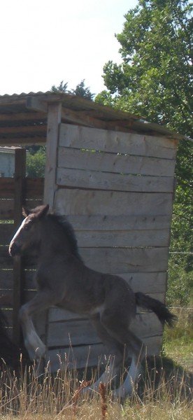 Photo de profil de setphanie