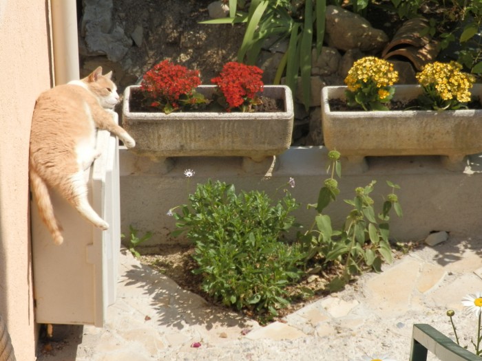 Photo de profil de xav06