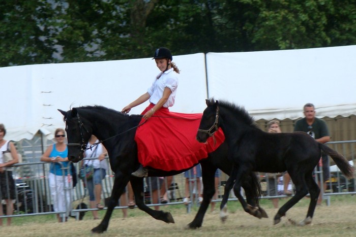 Photo de profil de ecuriedelacroux