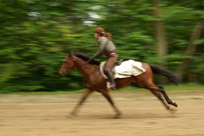 Photo de profil de sunsaphir