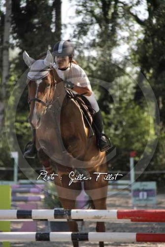 Photo de profil de adele3897
