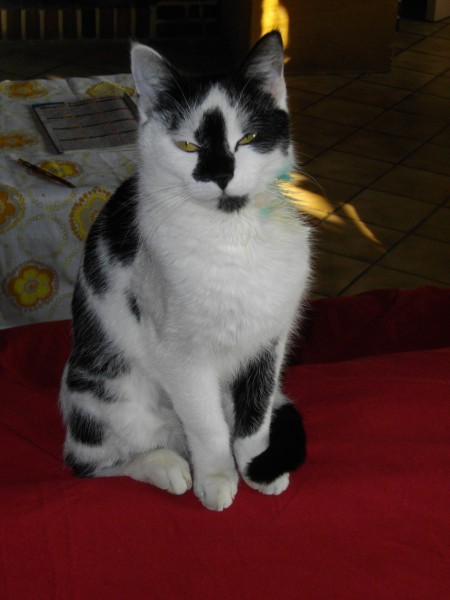 Photo de profil de lola123