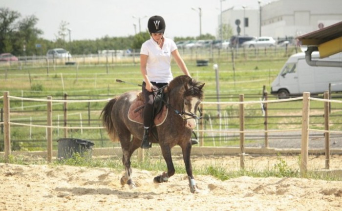 Photo de profil de alicia.tania