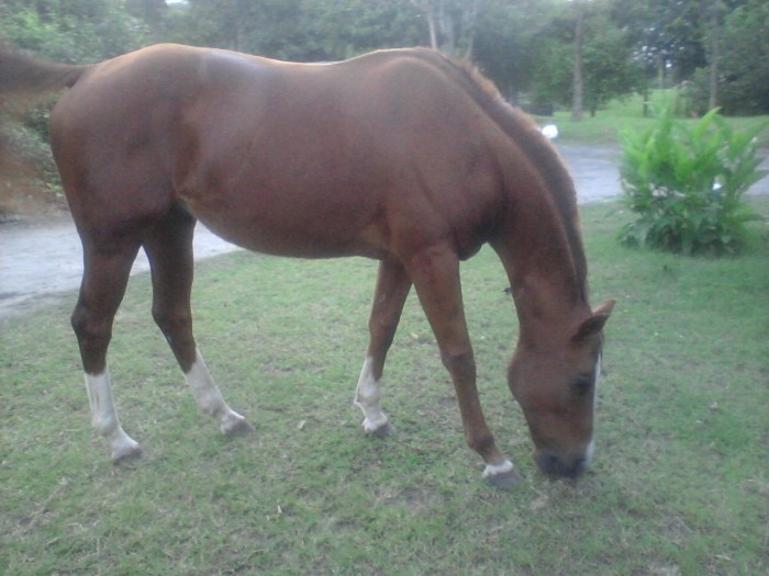 Photo de profil de crevette48