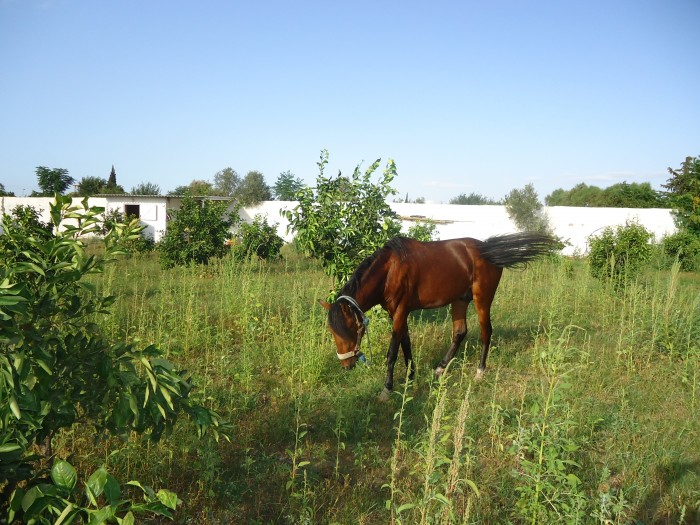 Photo de profil de malih