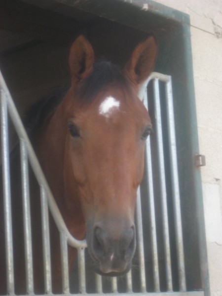 Photo de profil de fiox