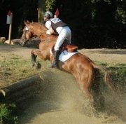 Photo de profil de waarmblood