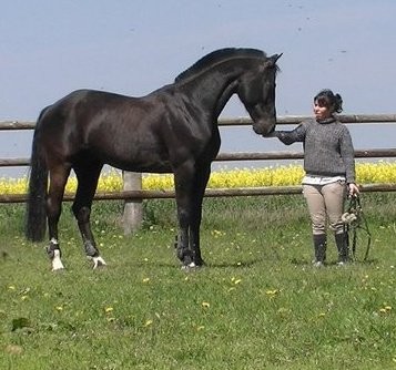Photo de profil de polo241
