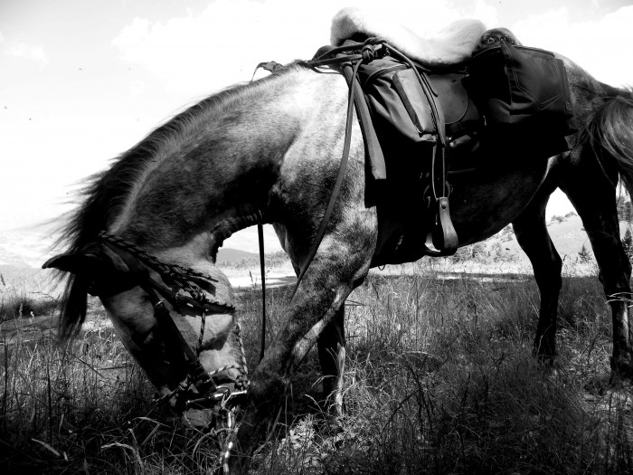 Photo de profil de titan04