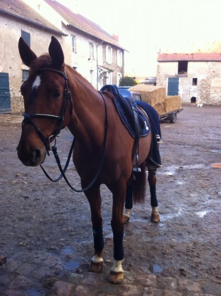 Photo de profil de spiritduff