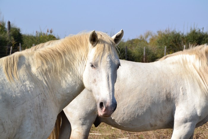 Photo de profil de lamissdu03