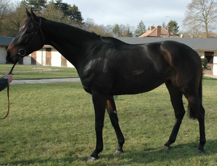 Photo de profil de sansan60