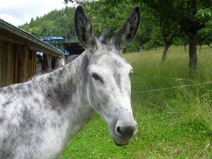 Photo de profil de melweb