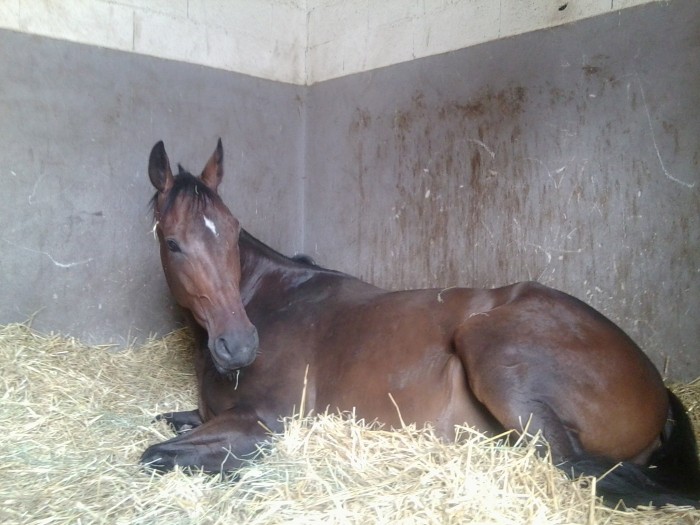 Photo de profil de beloune