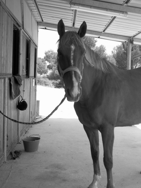 Photo de profil de kapisa