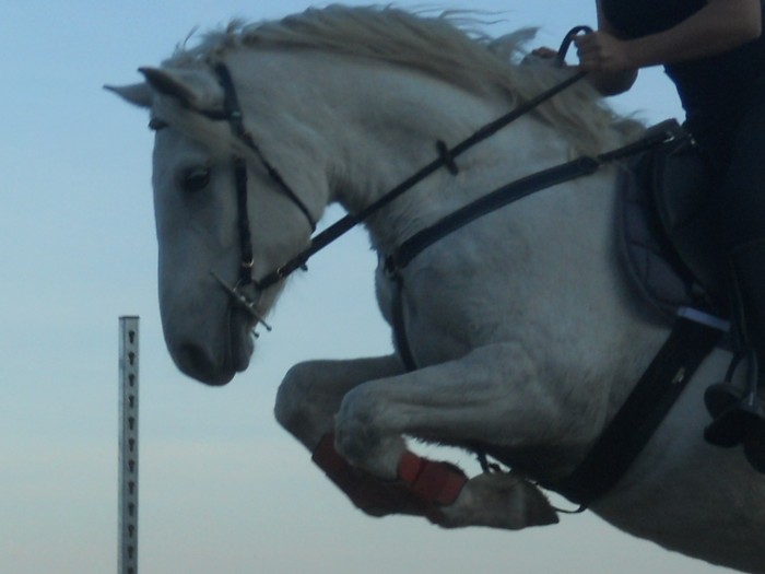 Photo de profil de kariine