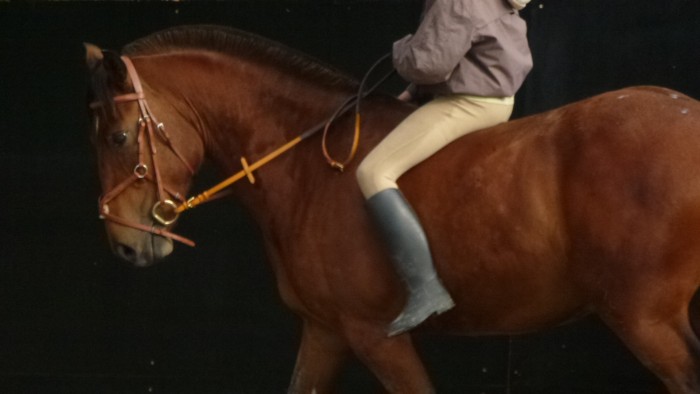 Photo de profil de lilie72