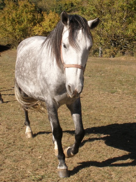 Photo de profil de elsueno