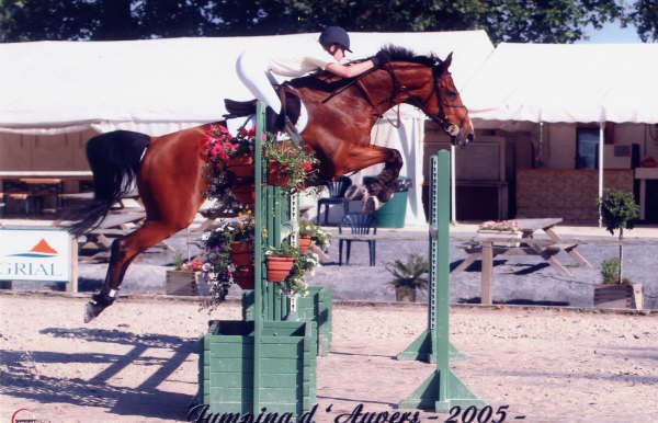 Photo de profil de v.paniate