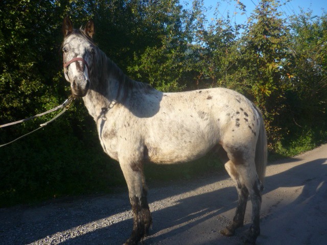 Photo de profil de anneso83