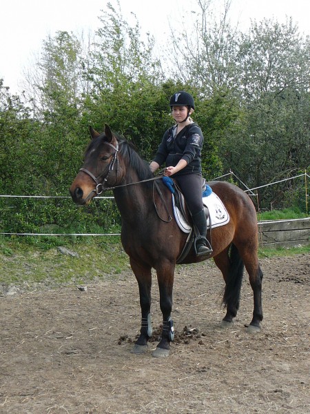 Photo de profil de xcaro